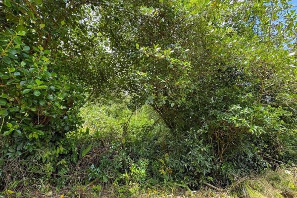 1.28-acre lot sale in potrerrillos, dolega