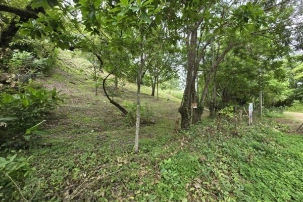 Centrally-located lot with 2 rental studios