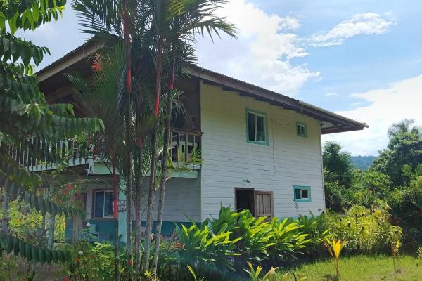3 hectares of caribbean oceanfront