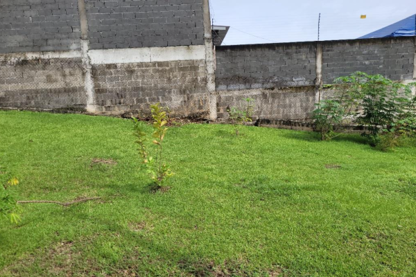 Sale of land with improvements in pueblo nuevo