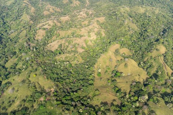 Cambutal lush property for sale near town