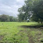 Three plots of land for sale near dolega, boquete