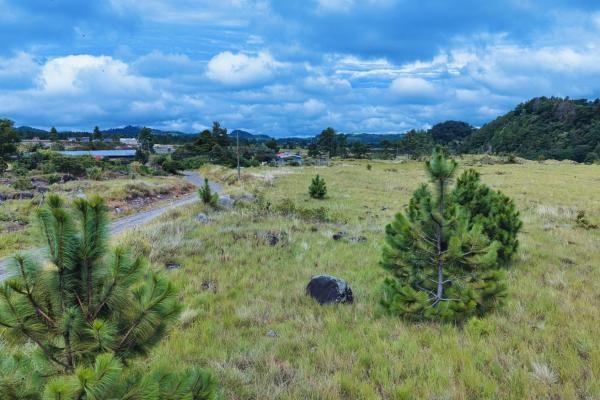Large residential lot for sale – paso ancho