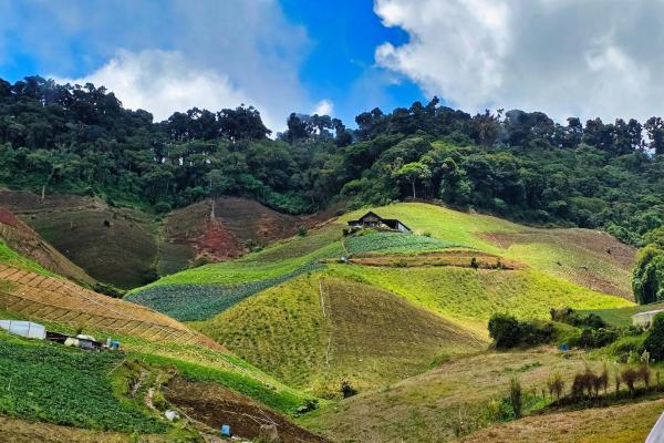 Finca agrícola en venta – cerro punta, chiriquí
