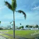 Venta de terreno en santa maria business district