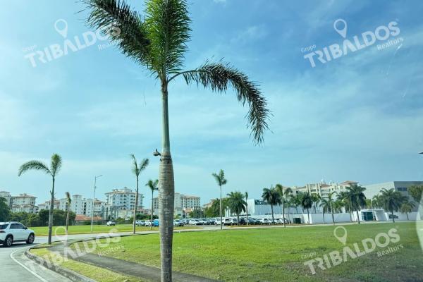 Sale of land in santa maria business district