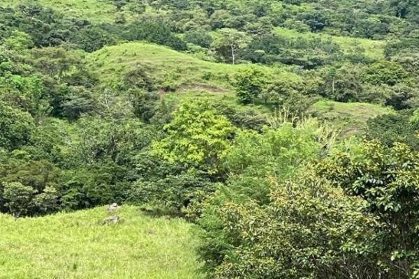 Fincas ganaderas en chame