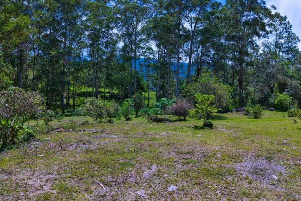 Land with a natural creek