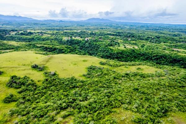 Ocean-view riverfront land-40.66 ha in san carlos