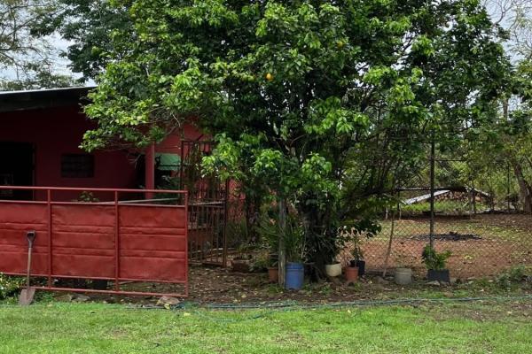 Farm with residence in ocú