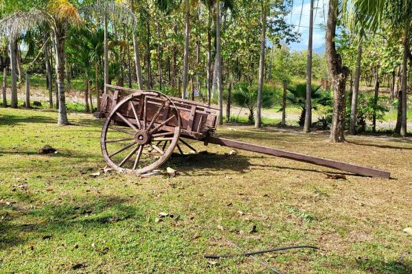 Se vende casa con plantación en nueva gorgona, chame