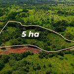 Agricultural land near david panama