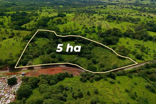 Agricultural land near david panama