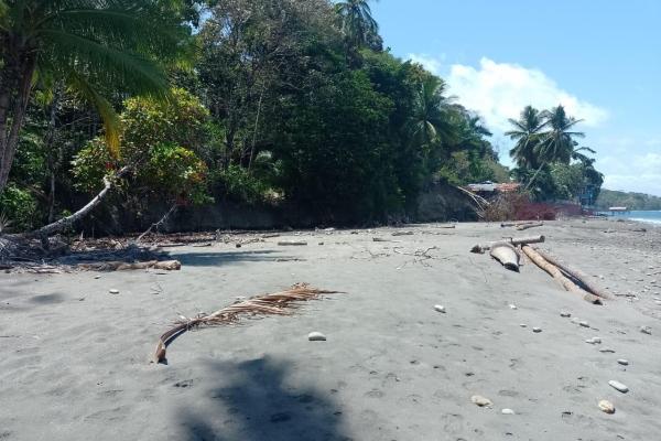 Land 172 acres in puerto armuelles, limones io