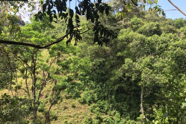 Amplia propiedad de 146.652 ha con fuentes de agua