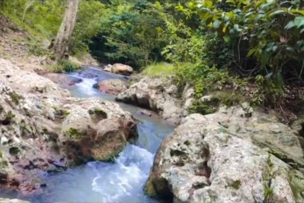 Finca de desarrollo de 26 hectáreas con vistas al océano y a la montaña.