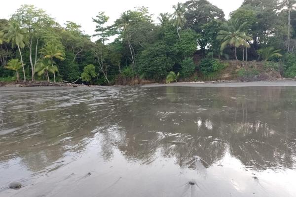 Land 172 acres in puerto armuelles, limones io
