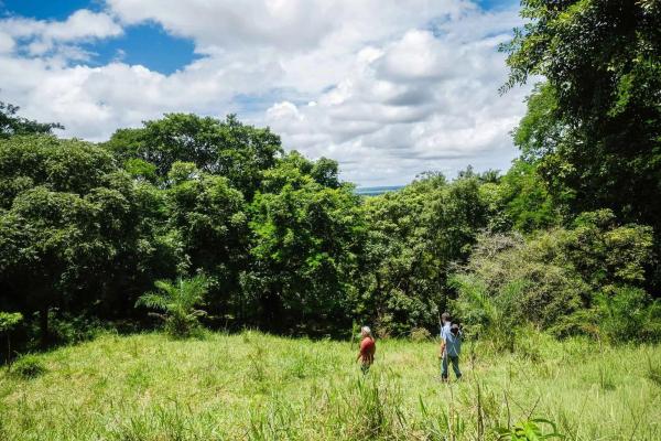 Expansive land for sale in las lomas, david