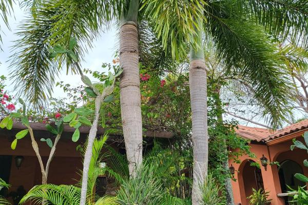 Se vende casa con plantación en nueva gorgona, chame