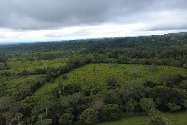 Finca con tierra negra, pasto, clima fresco y bien ubicada.