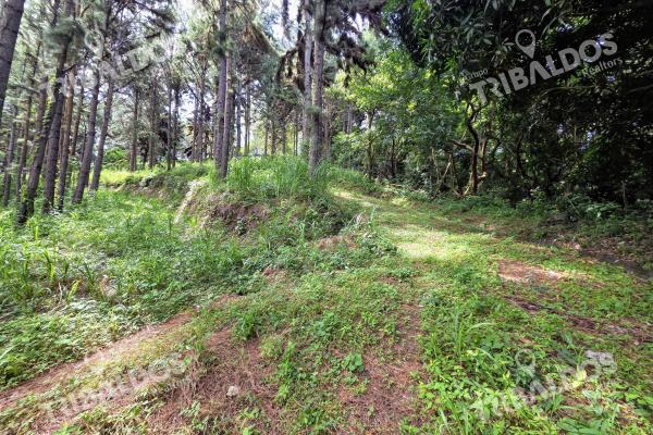 Venta de terreno en sora bejuco