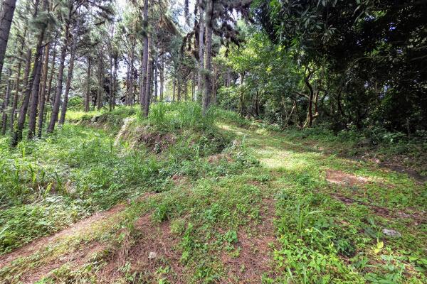 Venta de terreno en sora bejuco