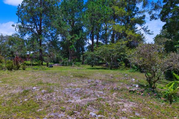 Experience the peace of volcán | land with a natural creek