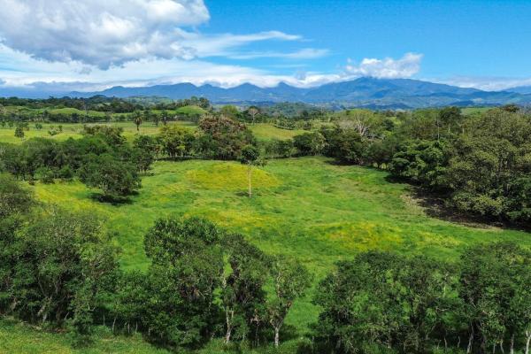 Amplia propiedad de 146.652 ha con fuentes de agua