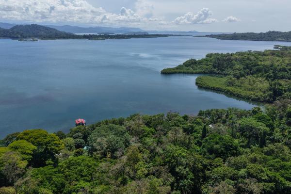 Retiro de finca de cacao de 14 hectáreas en tierra oscura