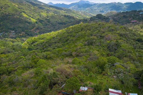 18.4 hectare land close to el cope, cocle