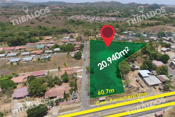 Venta de terreno de 2 hectáreas en santiago