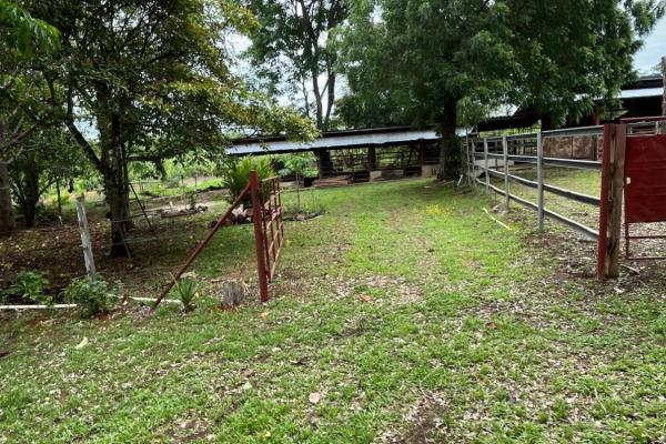 Farm with residence in ocú