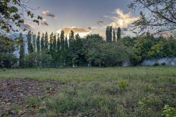 Terreno residencial en venta en la perla, david