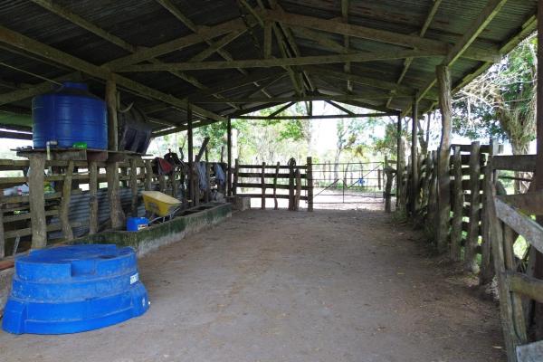 Expansive 146.652 ha property with water sources
