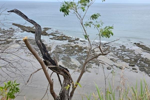 Beachfront development land for sale | el palmar
