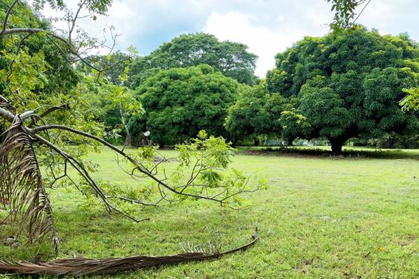 Venta de terreno en gorgona