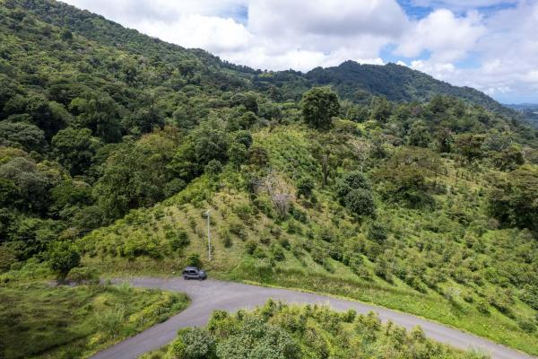 12 plus - ha producing coffee farm in boquete