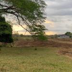 Lote residencial en montilla, david