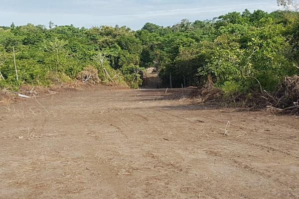Terreno de 43 hectareas en el espino, anton, cocle