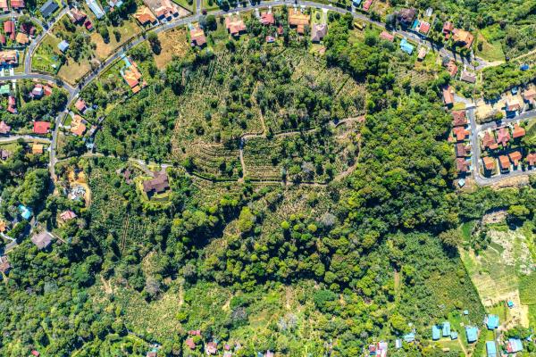 Coffee farm estate in boquete panama