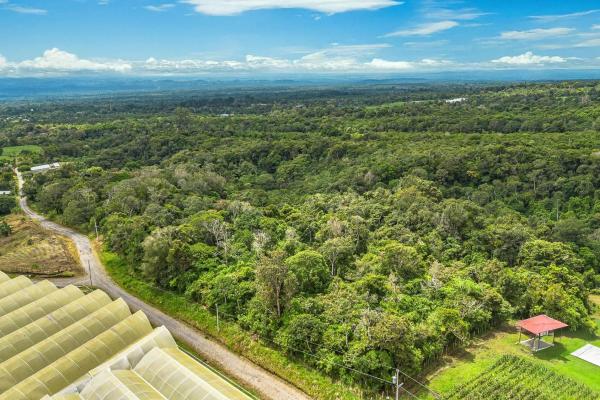 Land with natural forest and mountain views