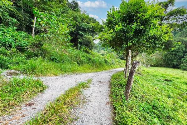 Naturaleza, espacio y potencial en un solo lugar
