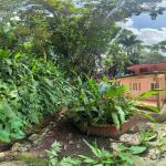 House in the canal area with unbeatable location