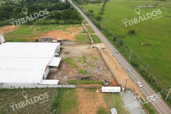 Galera en tanara