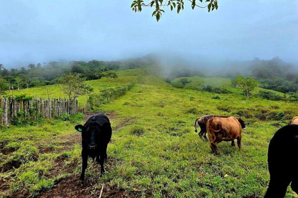 96.10 hectare in boquerón, las monjas