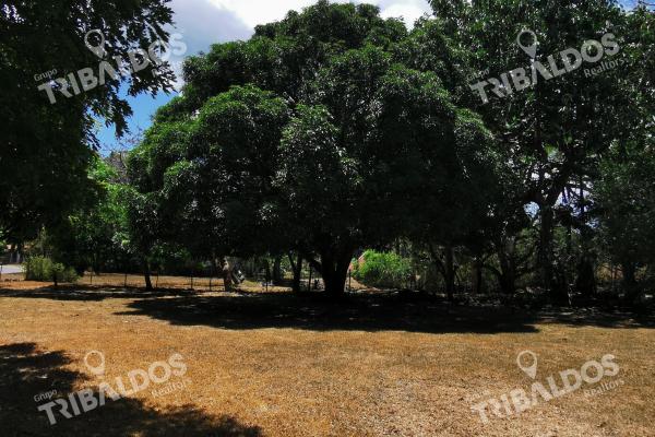 Venta de terreno con casa en santa clara con piscina