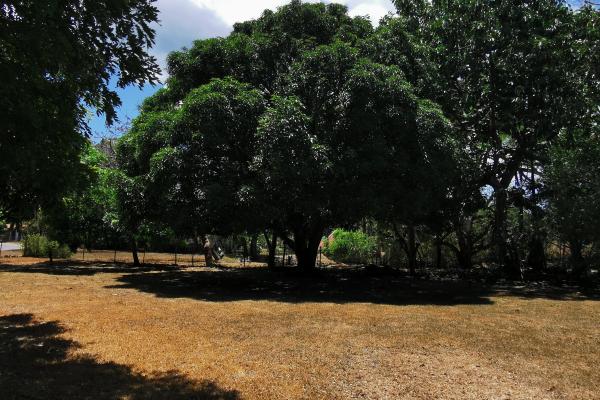 Terreno con casa en santa clara