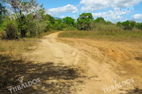 Venta de terreno de 29ha en pacora