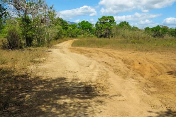 29 ha land for sale in pacora