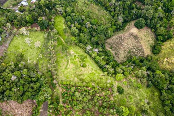 Finca cafetalera en venta en potrerillos arriba